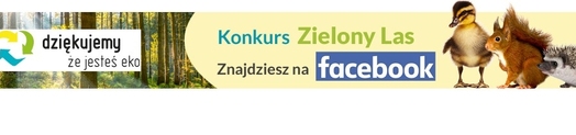Zielony las001